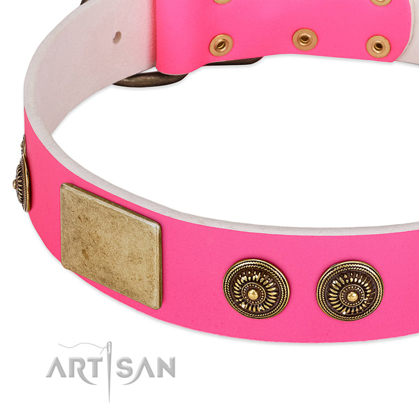 Decorated dog collar created for your attractive doggie