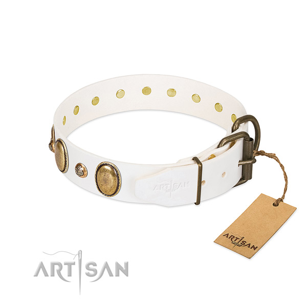 Daily use full grain natural leather dog collar