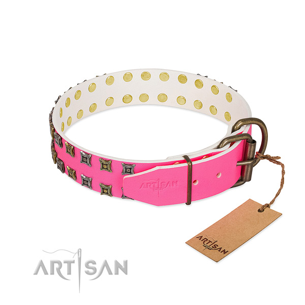 Full grain genuine leather collar with incredible embellishments for your canine