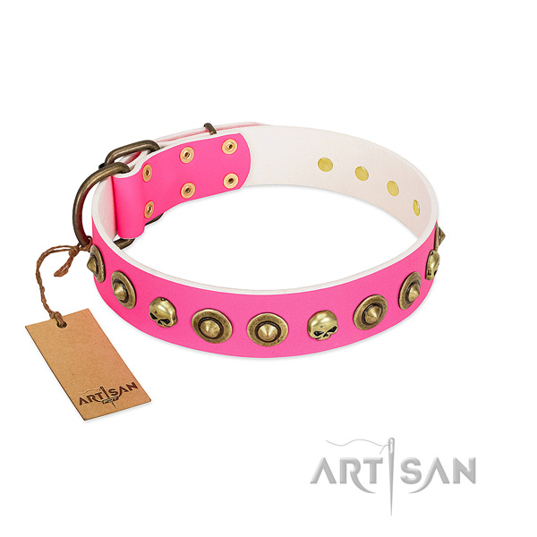 Natural leather collar with impressive studs for your canine