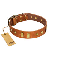 "Woofy Dawn" FDT Artisan Tan Leather Mastiff Collar with Plates and Rhombs