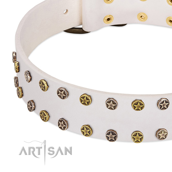 Significant studs on natural leather collar for your pet