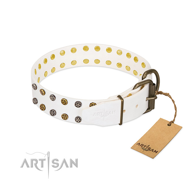 Leather collar with unusual decorations for your pet
