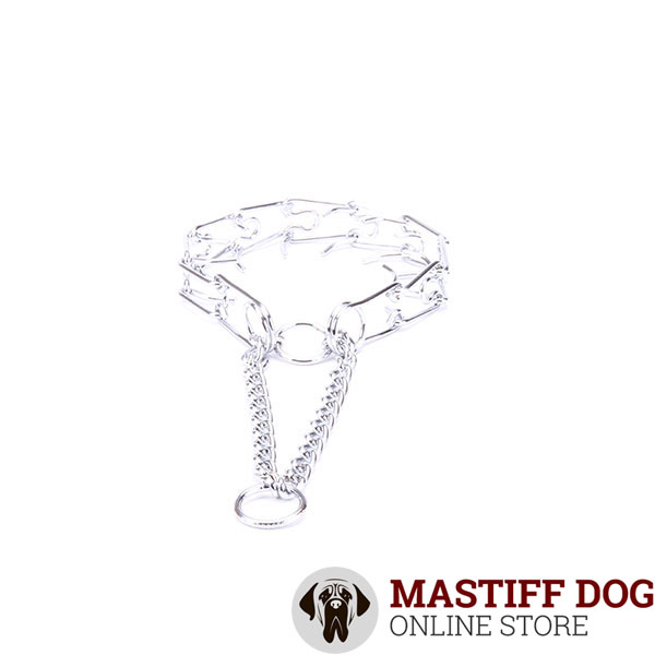 Dog pinch collar chrome plated for ill behaved dogs