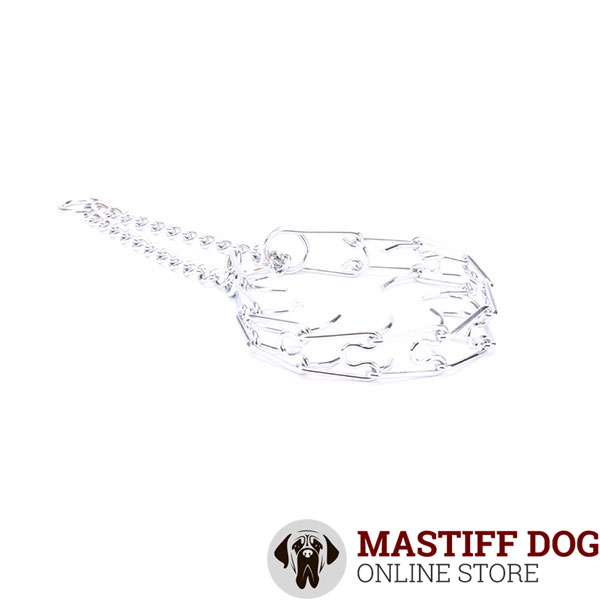 Chrome plated dog prong collar for obedience training pets