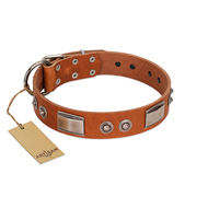 "Pawsy Glossy" FDT Artisan Exclusive Tan Leather Mastiff Collar 1 1/2 inch (40 mm) wide