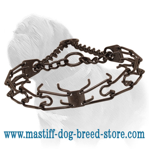 Black Dog Prong Collar Made of Stainless Steel
