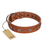 "Star Shine" Exclusive FDT Artisan Tan Leather Mastiff Collar with Silver-Like Adornments