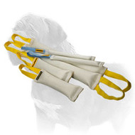 Big Mastiff Training Set of Fire Hose Bite Tags