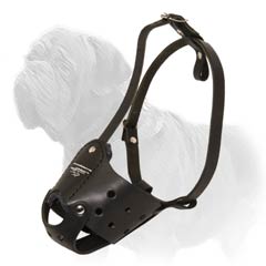 Excellent no biting muzzle for your Mastiff!