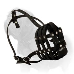 Leather basket muzzle for active Mastiff Dogs