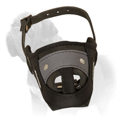 Mastiff Muzzle for Training and Walking