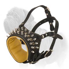 Mastiff leather muzzle with open snout
