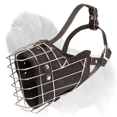 Mastiff Muzzle for Safe Walking
