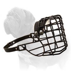 Rubber coated wire Mastiff muzzle