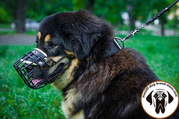 Special-rubber-covered metal wire cage dog muzzle for Mastiff winter walking