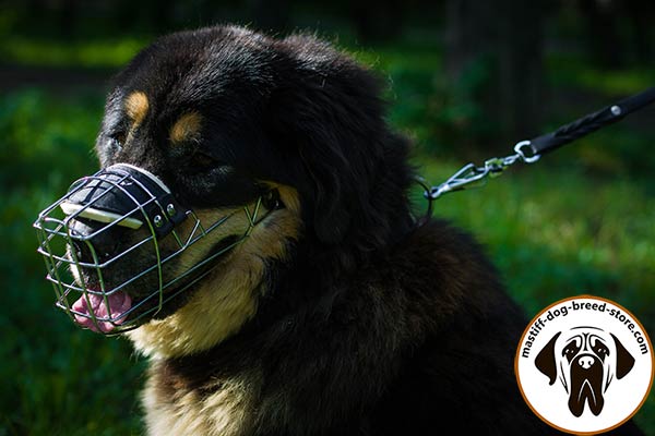 Super durable wire cage dog muzzle for Mastiff comfy walking