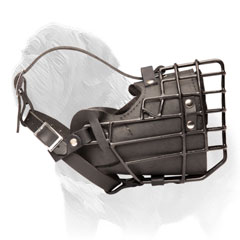 Mastiff Wire Cage Muzzle with Leather Padding