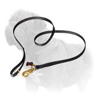 Super Multifunctional Mastiff Dog Lead of Nylon