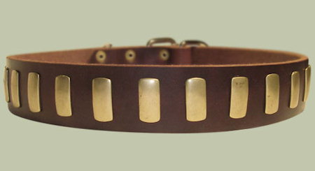 Designer Dog Collar for DOG-Leather Custom Collar [C88##1097 Dog