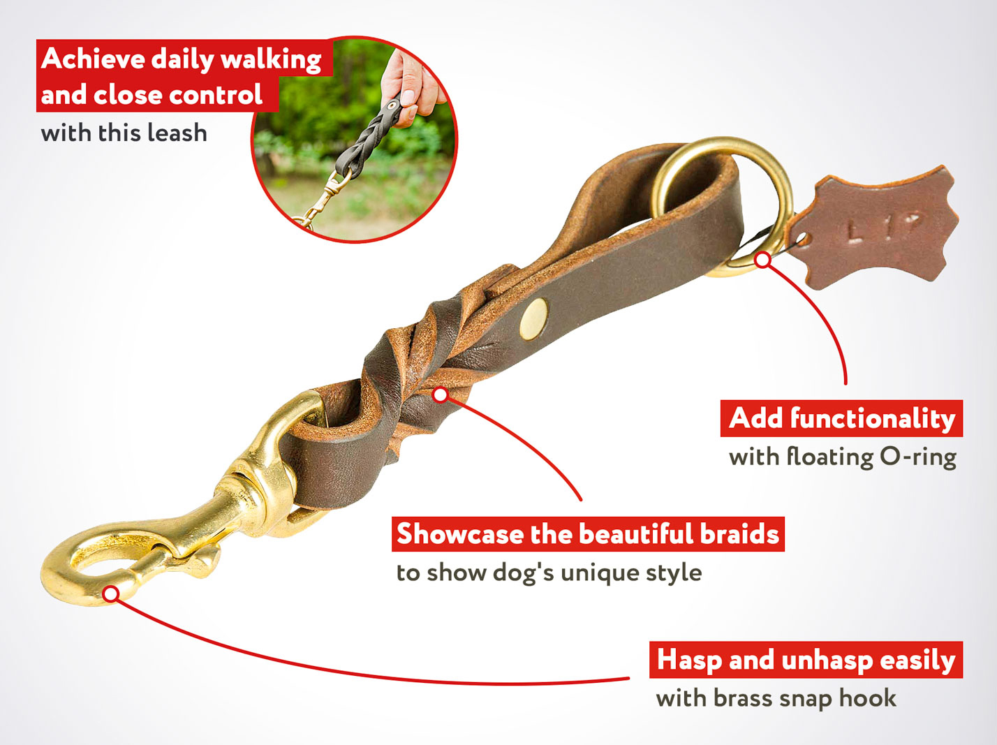 Walker Mastiff Dog 【Leash】 With Braided Adornment Mastiff Breed