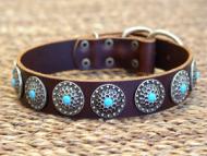 mastiff dog collar