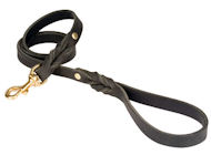Looking for PETCO Twisted Leather Lead for Mastiff?