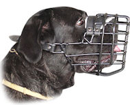 Large Wire Dog Muzzle for Cane Corso