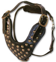 Stud Dog Harness for Mastiff -2 ply leather HARNESS