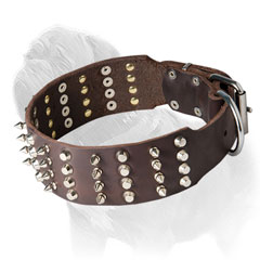 Mastiff Dog Collar Extra Wide Spikes with Studs