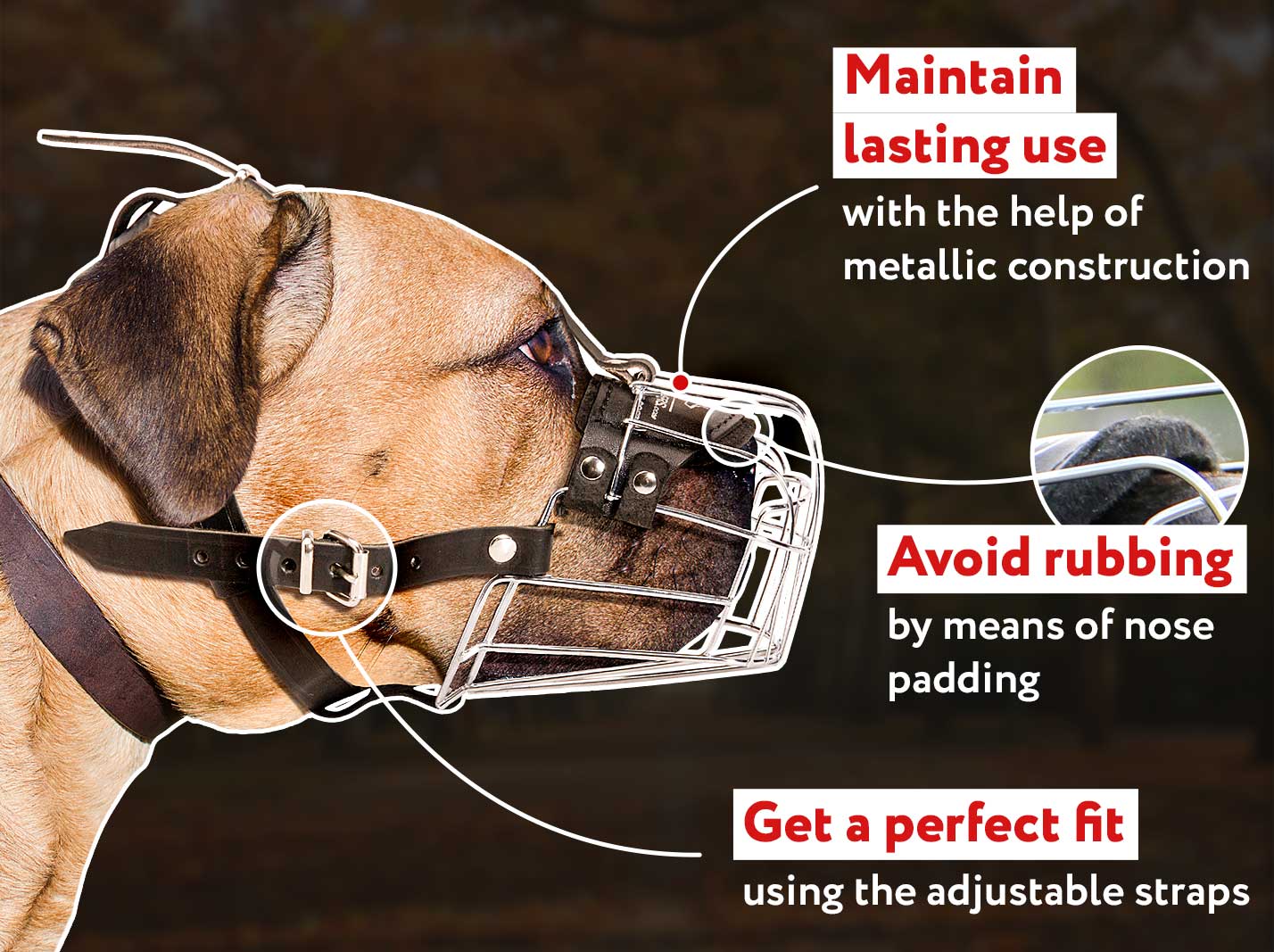 Cane Corso Mastiff Wire Basket Dog Muzzle
