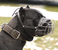 baske wire dog muzzle
