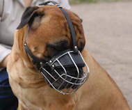 Mastiff Wire Basket dog muzzle