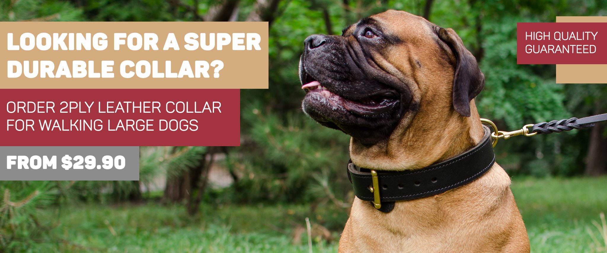 Mastiff harness, Mastiff muzzle, Mastiff collar, Dog leash, Dog Lead